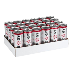 Slammers Energy (24x250ml)