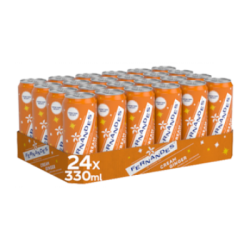 Fernandes Oranje  (24X330ml)