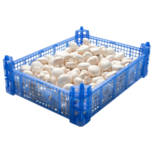 Champignons (3kg)