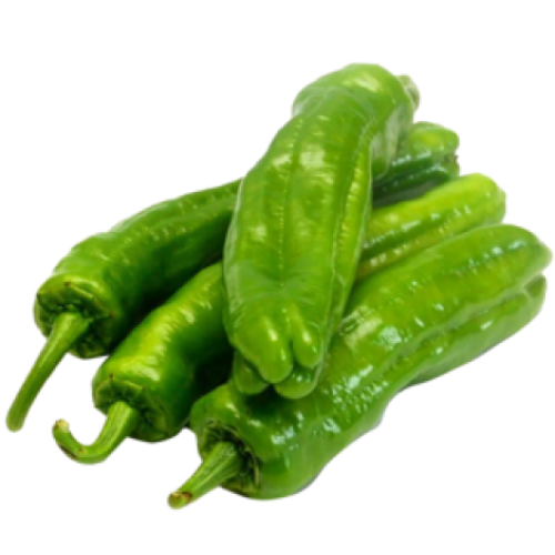 Paprika Ucburun groen