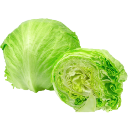 Ijsberg Sla Ijsberg Sla