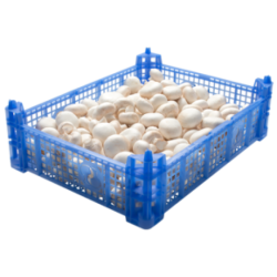 Champignons (3kg) Champignons (3kg)