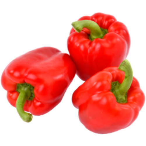 Paprika Rood