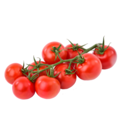 Tros Tomaat Tros Tomaat