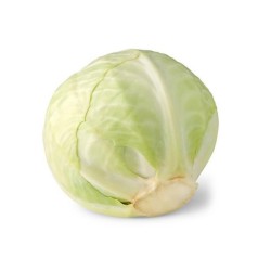 Witte Kool Witte Kool