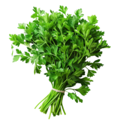 Bladpeterselie Bladpeterselie